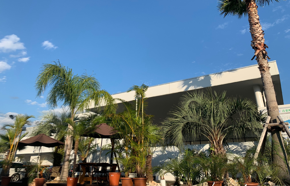 花びぜん 株式会社 富士市を中心に富士宮市 沼津市 静岡市清水区の花屋