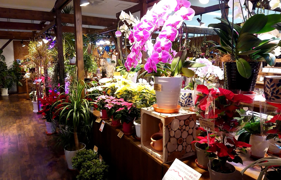 花びぜん 株式会社 富士市を中心に富士宮市 沼津市 静岡市清水区の花屋