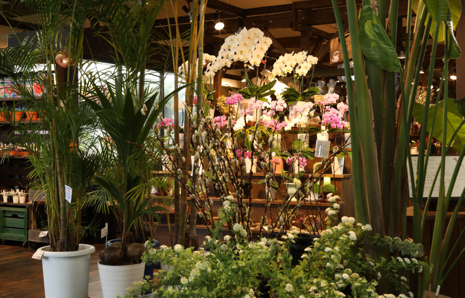 店舗情報 花びぜん 株式会社